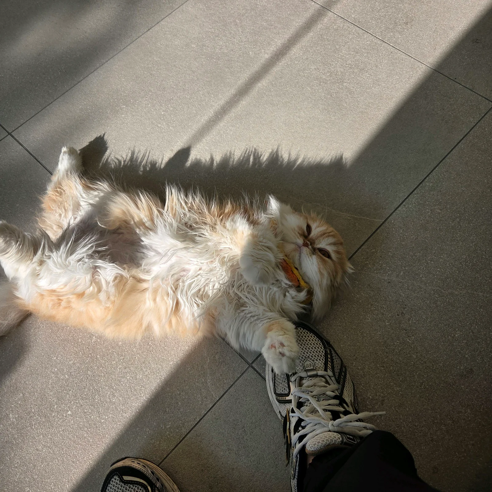 리뷰 사진 1