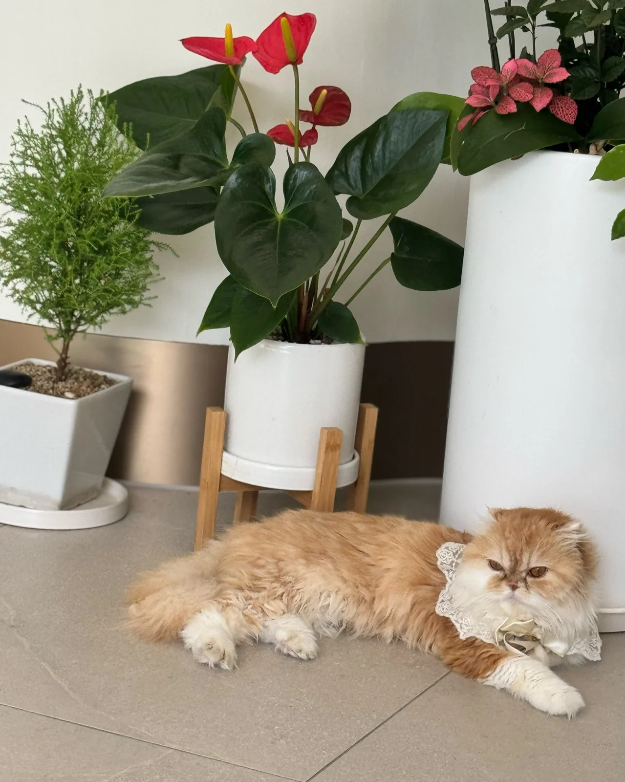 리뷰 사진 1