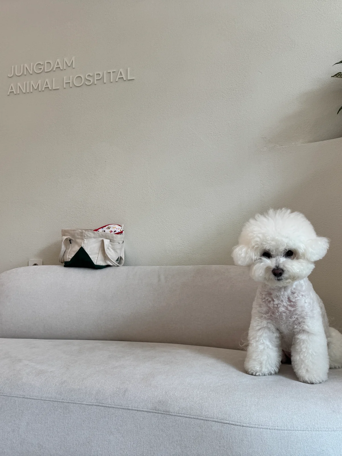 리뷰 사진 1