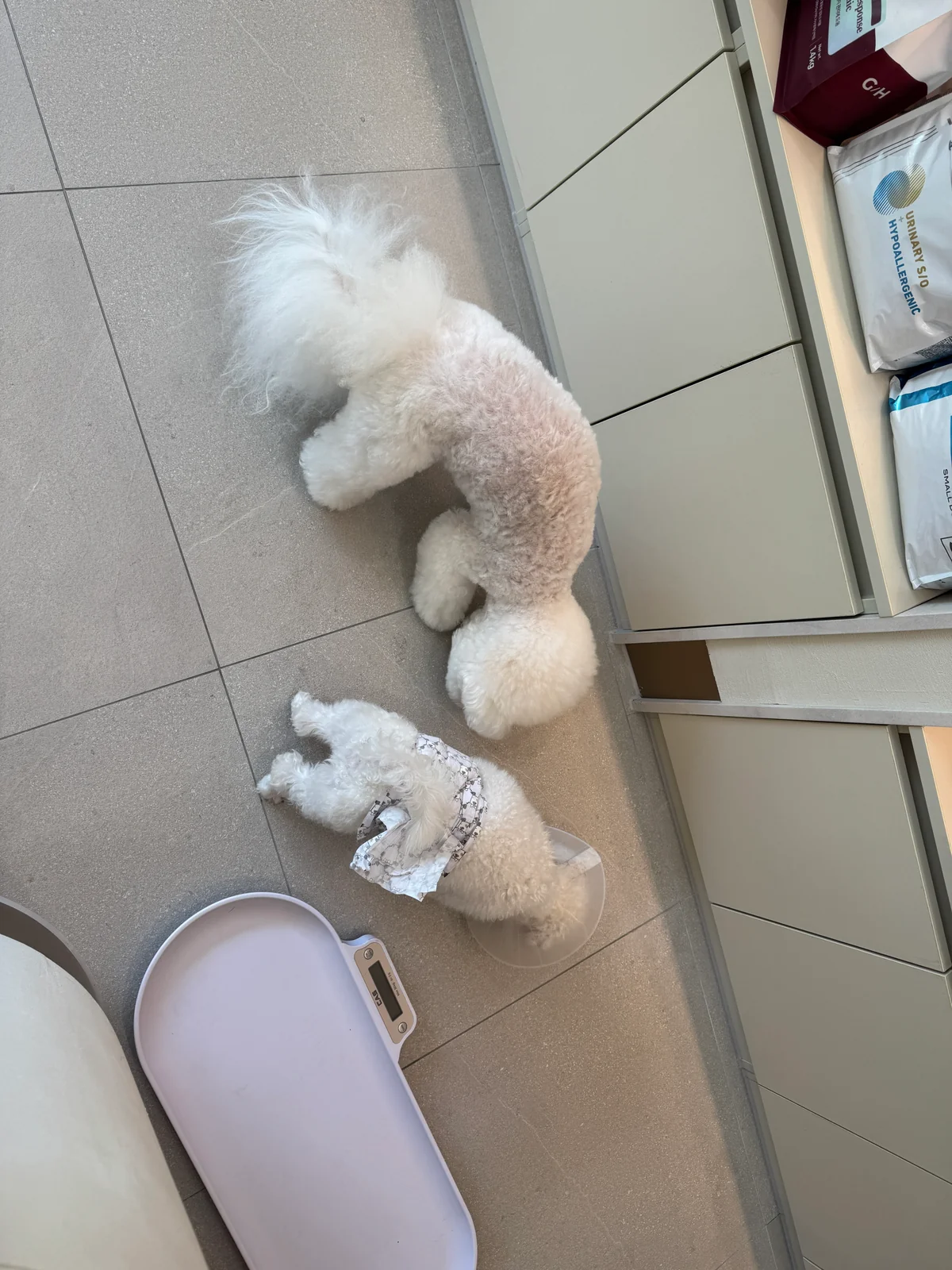 리뷰 사진 4