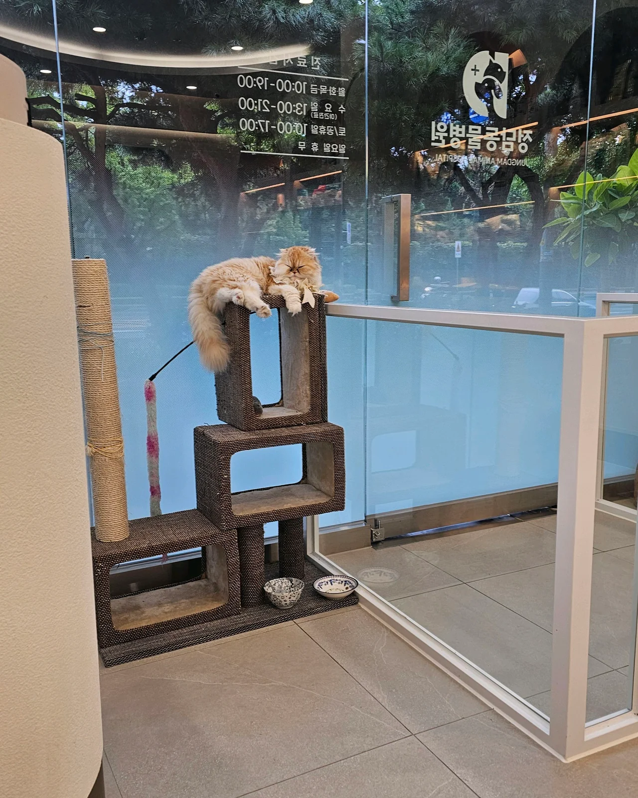 리뷰 사진 1