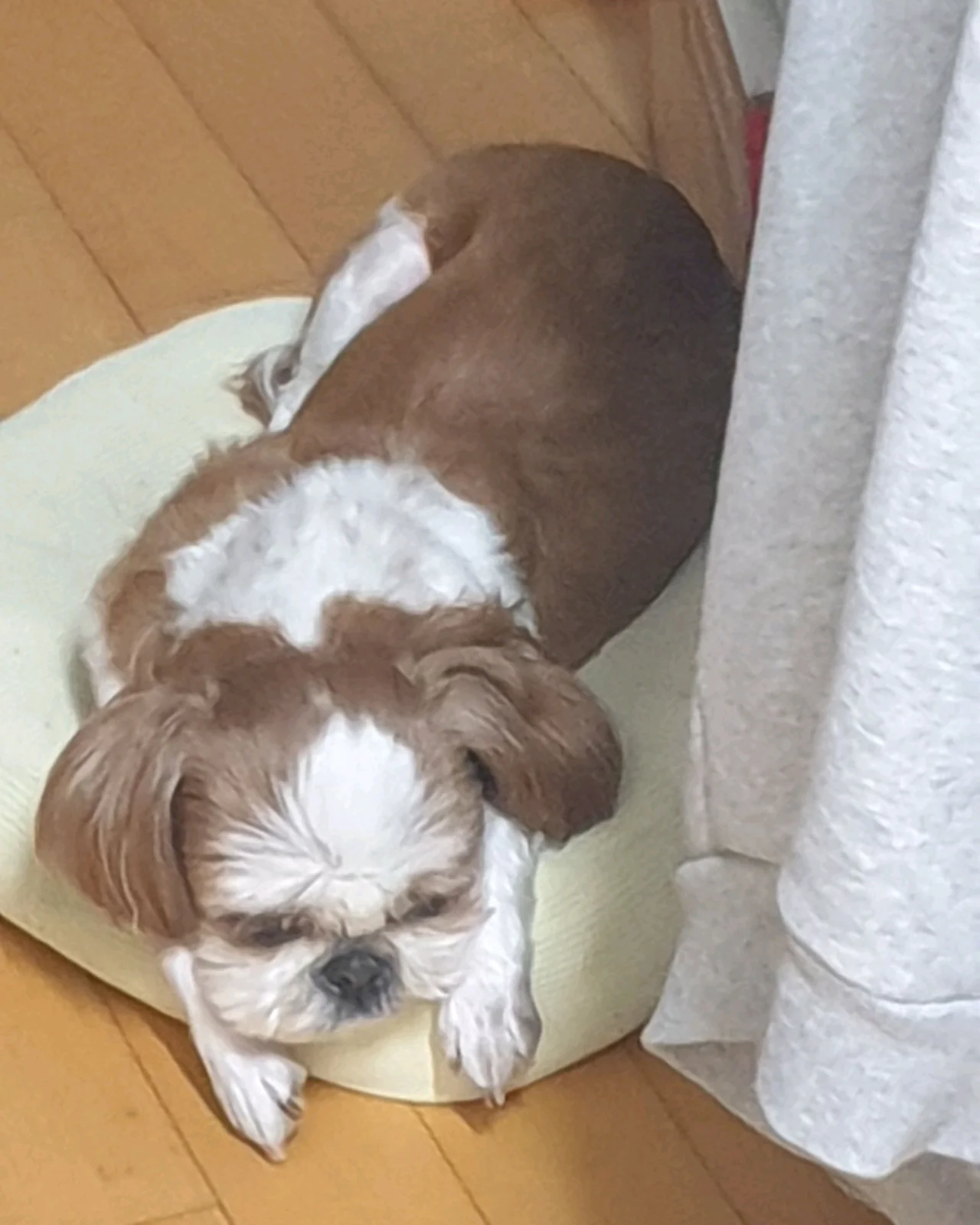 리뷰 사진 3