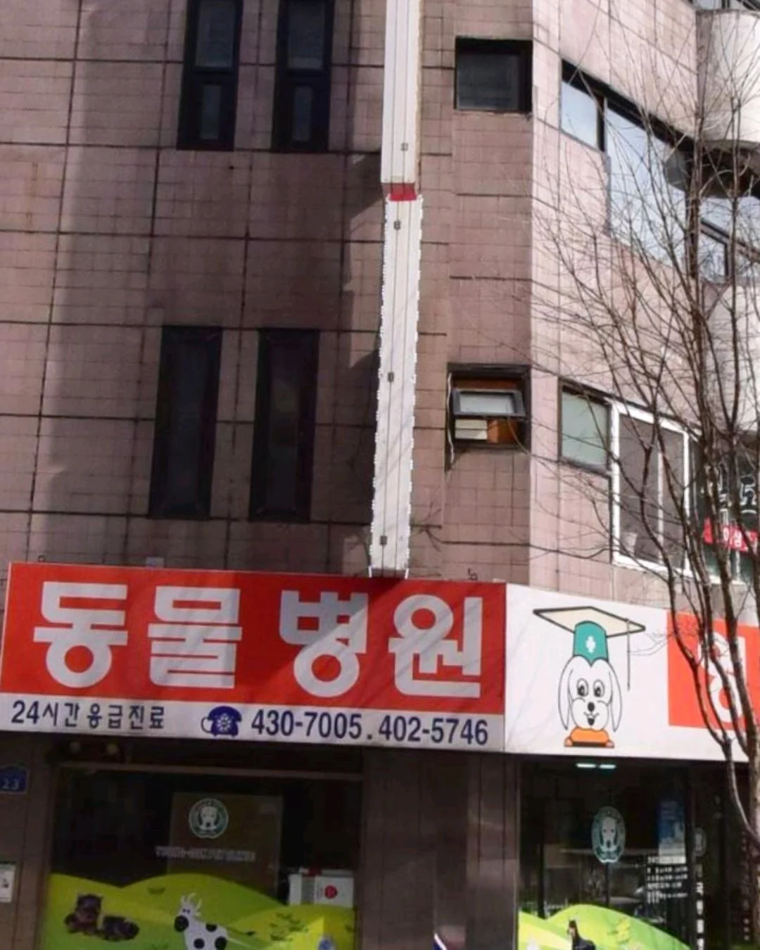 리뷰 사진 1