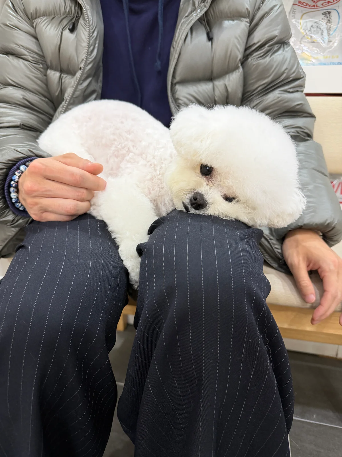리뷰 사진 2