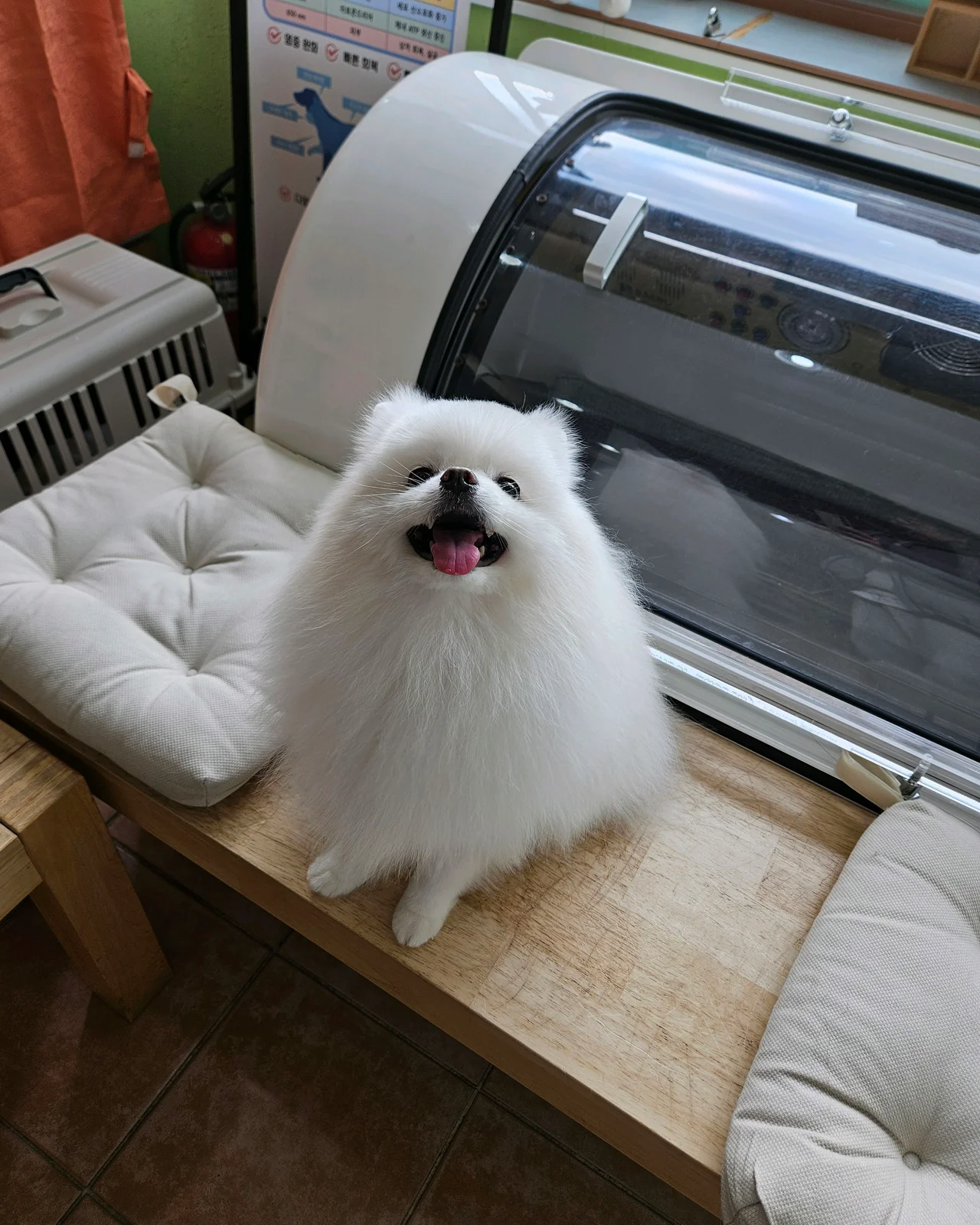 리뷰 사진 1