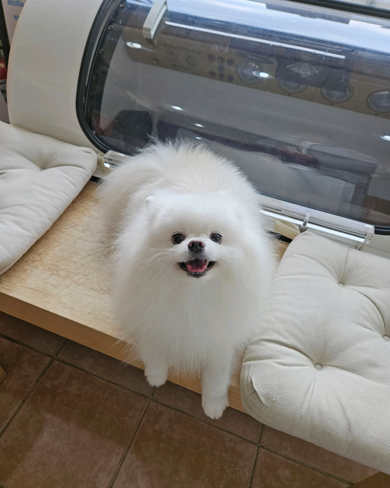 리뷰 사진 2