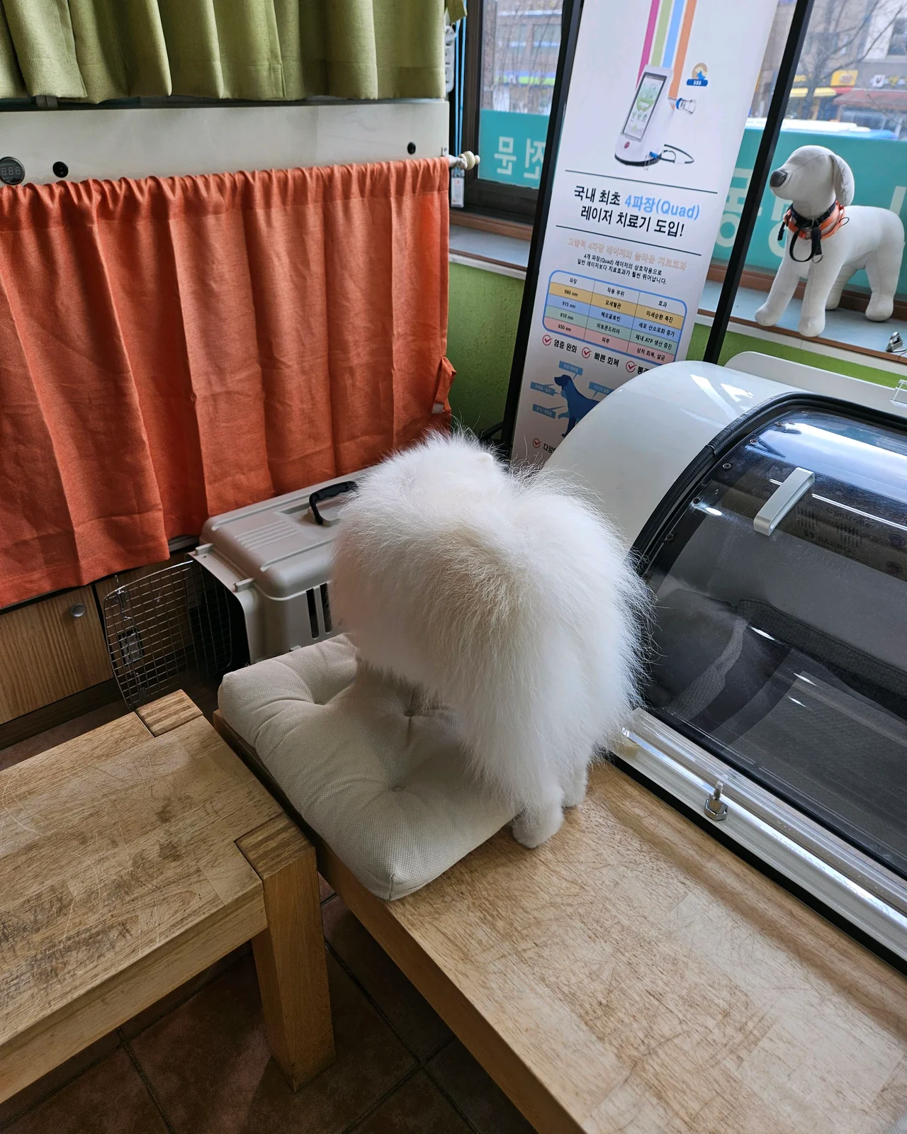 리뷰 사진 3
