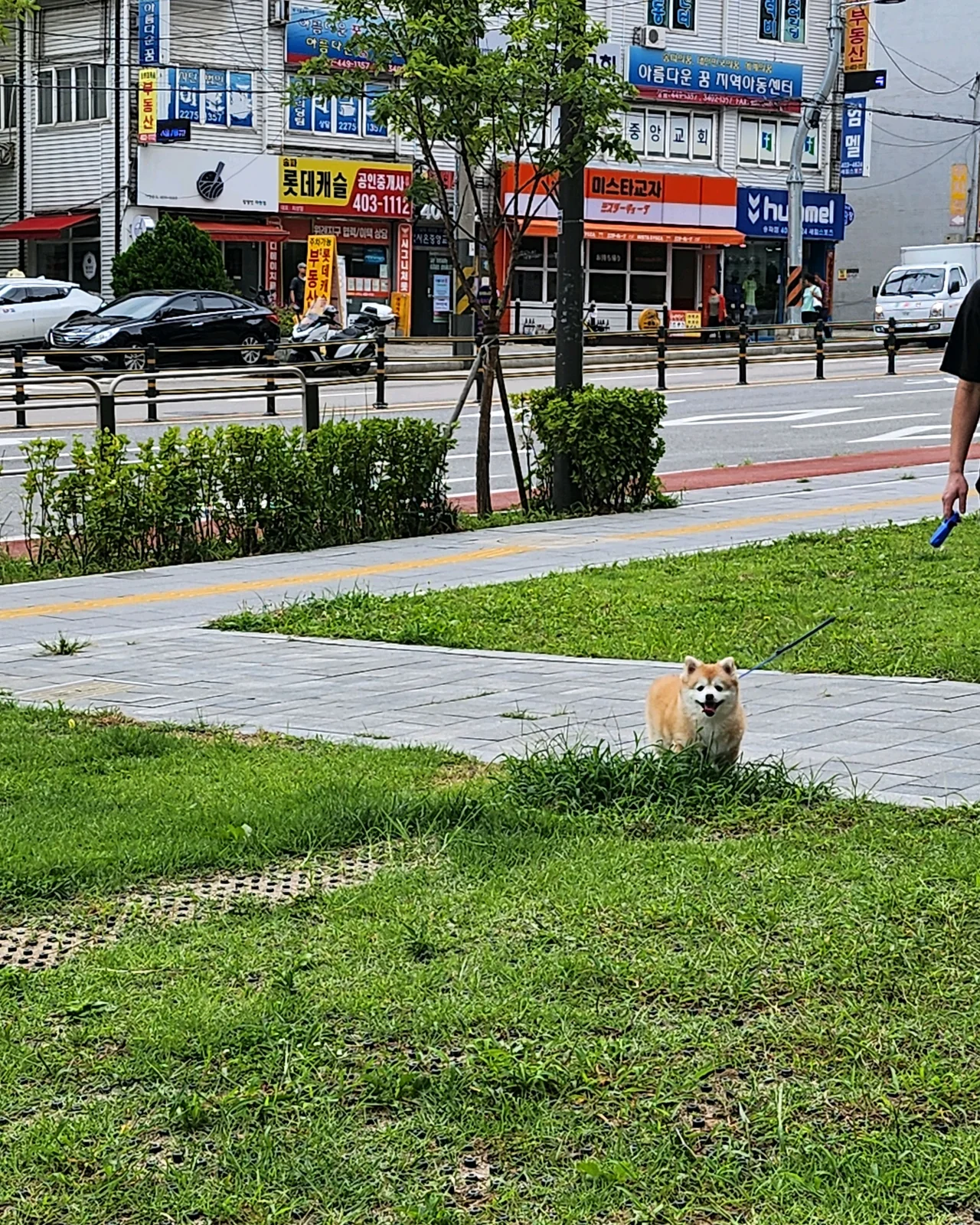 동물의왕국동물병원 사진 2