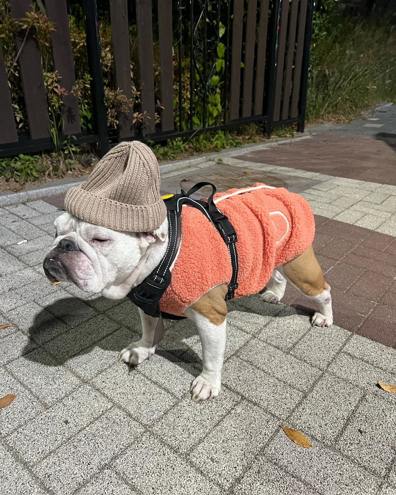 리뷰 사진 1