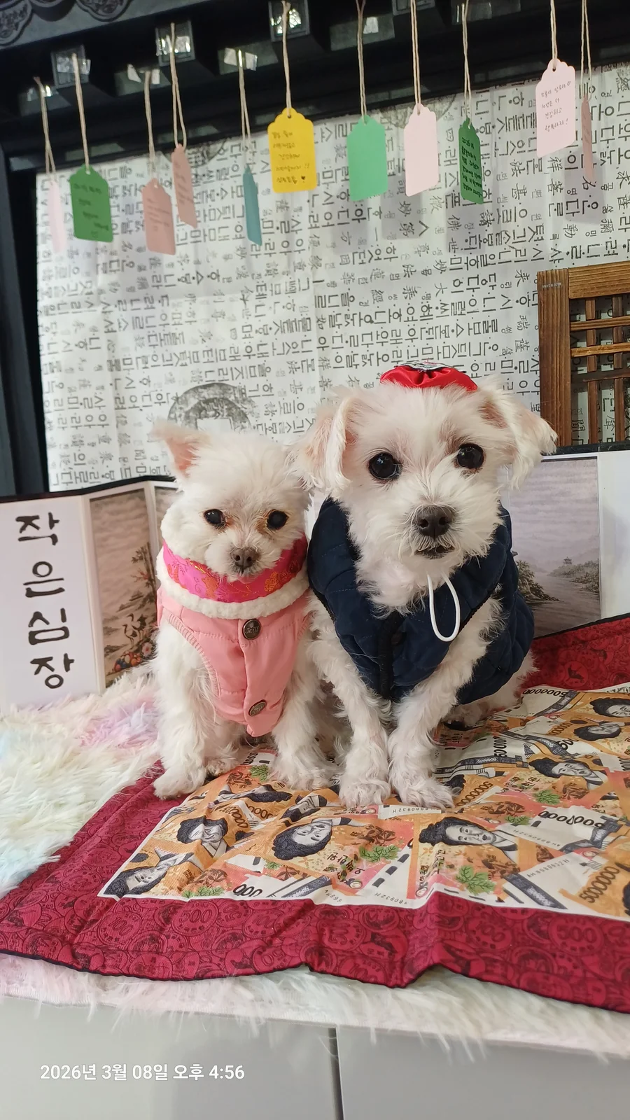 리뷰 사진 1