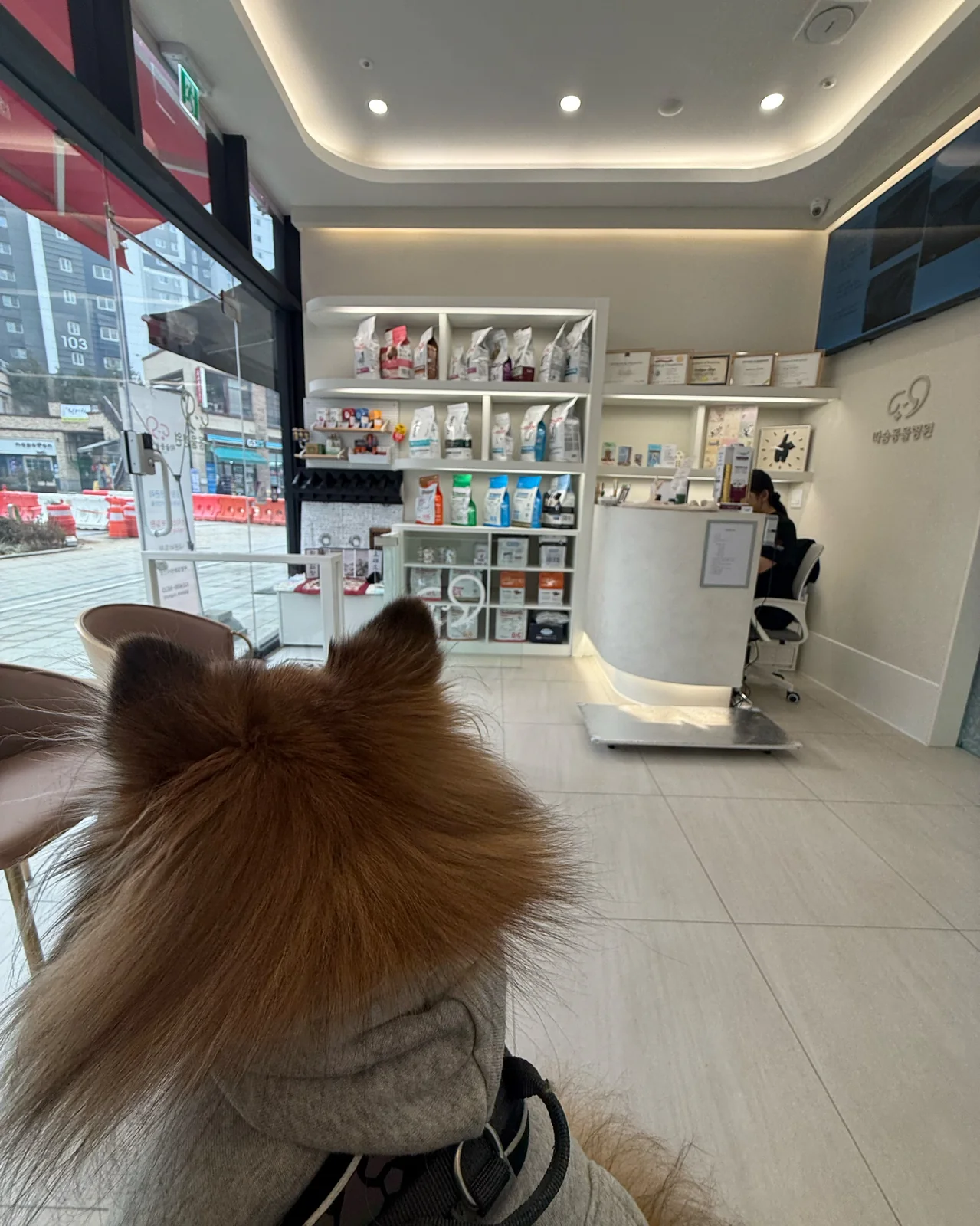 리뷰 사진 1