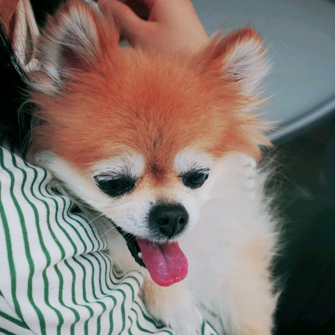리뷰 사진 1