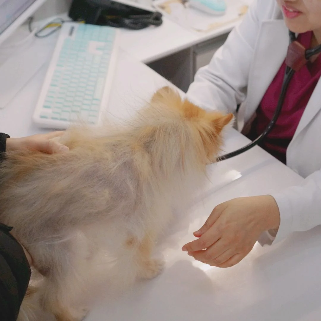 리뷰 사진 3