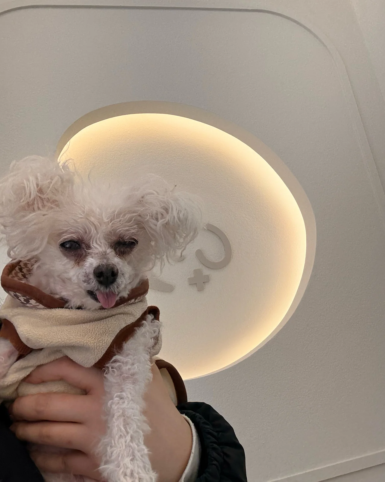 리뷰 사진 1