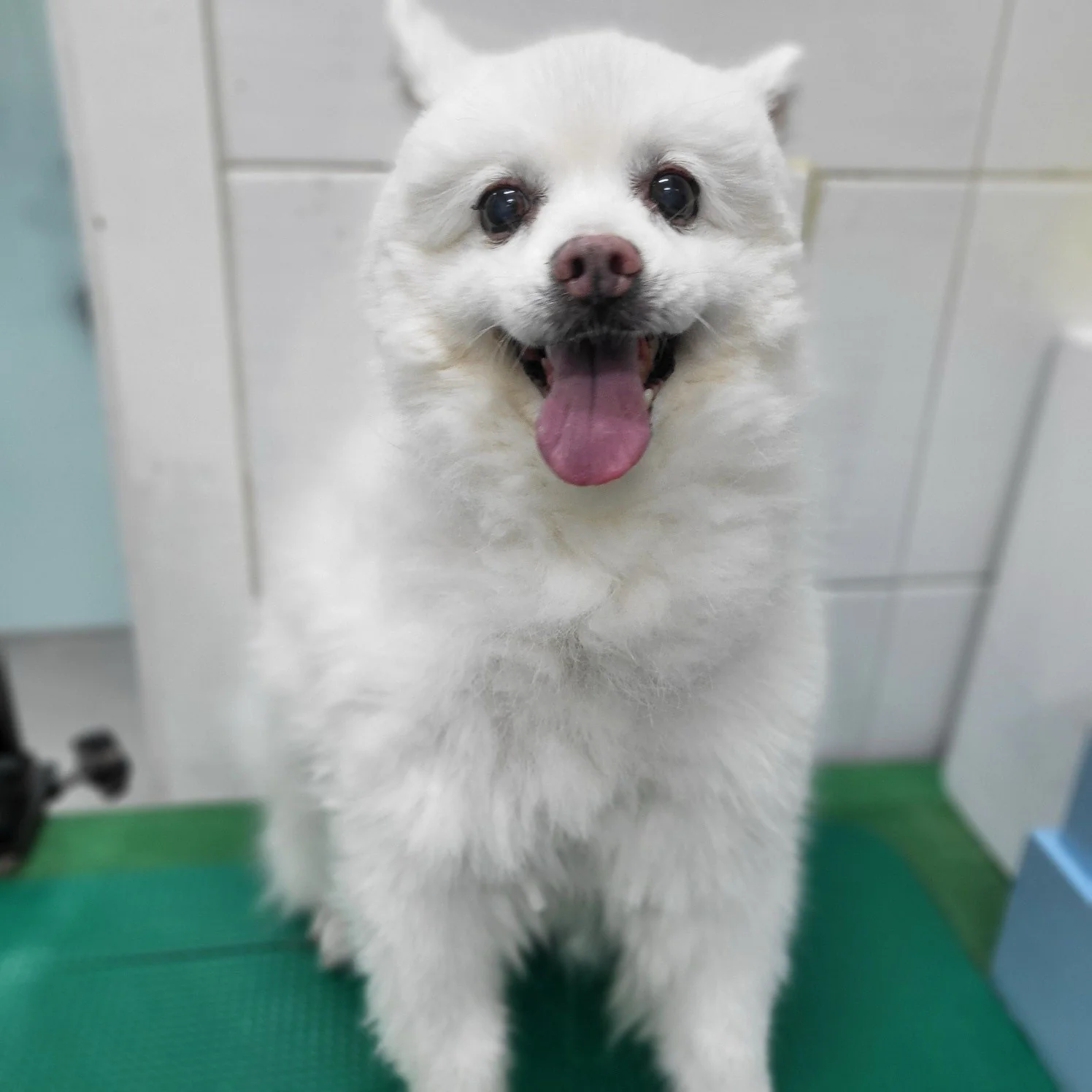 리뷰 사진 1