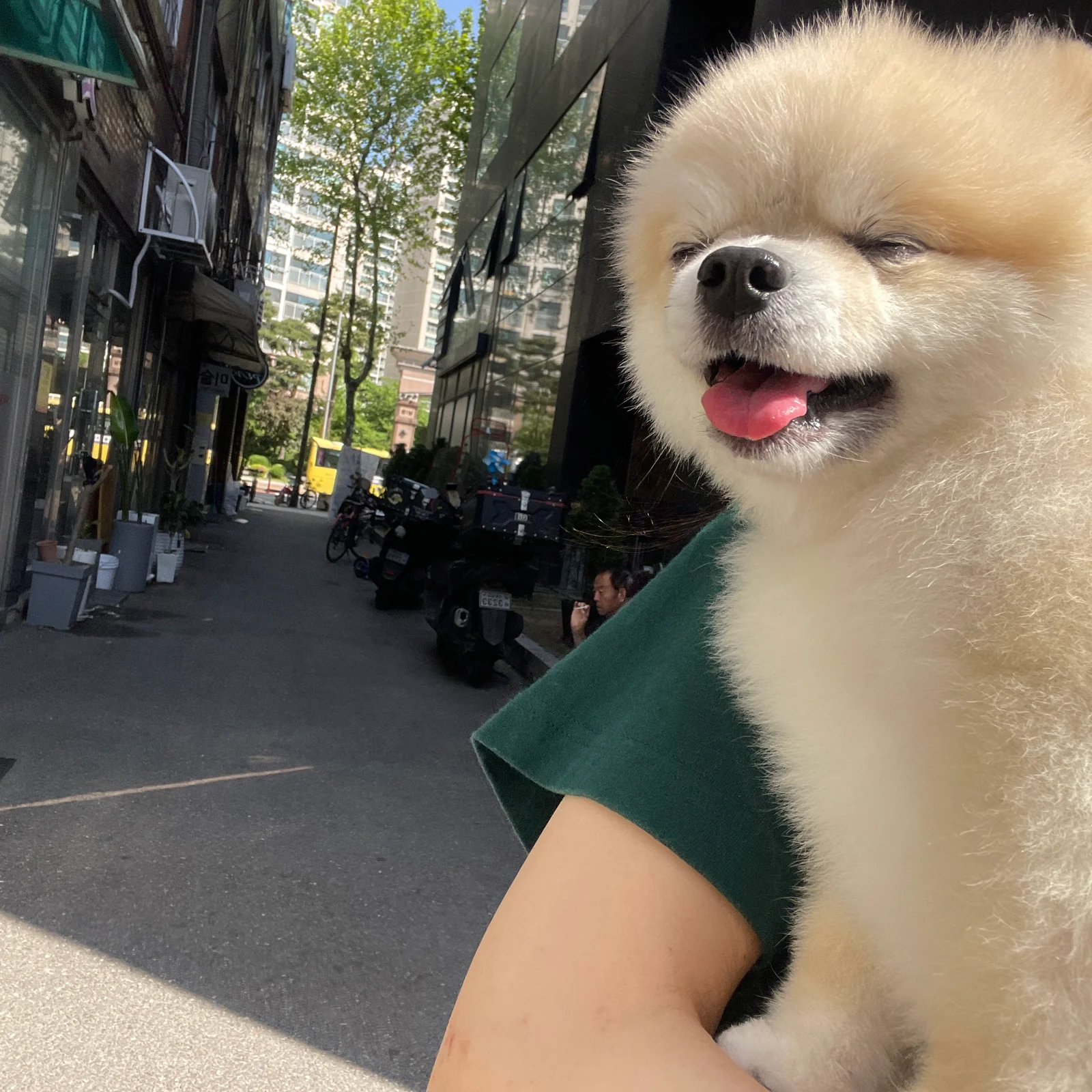 리뷰 사진 1