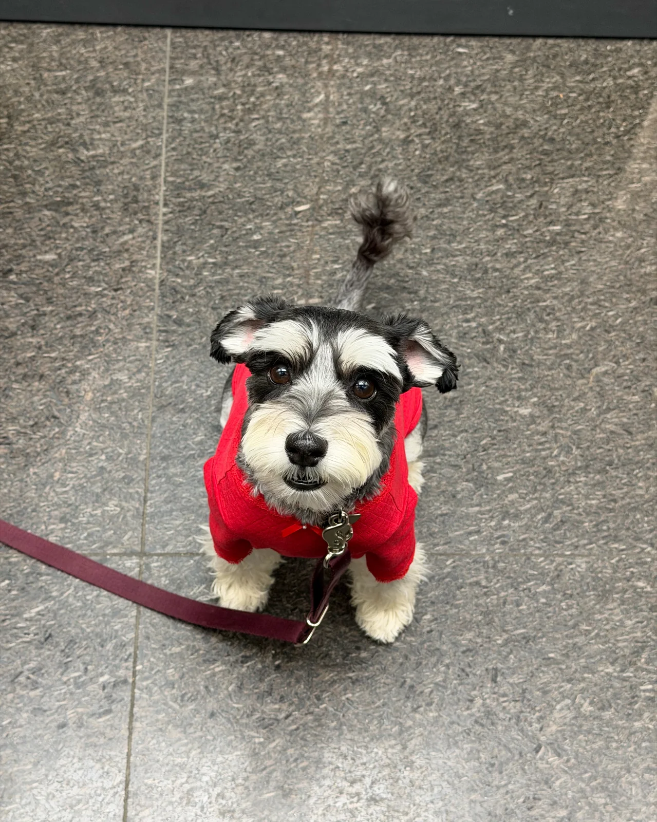리뷰 사진 1