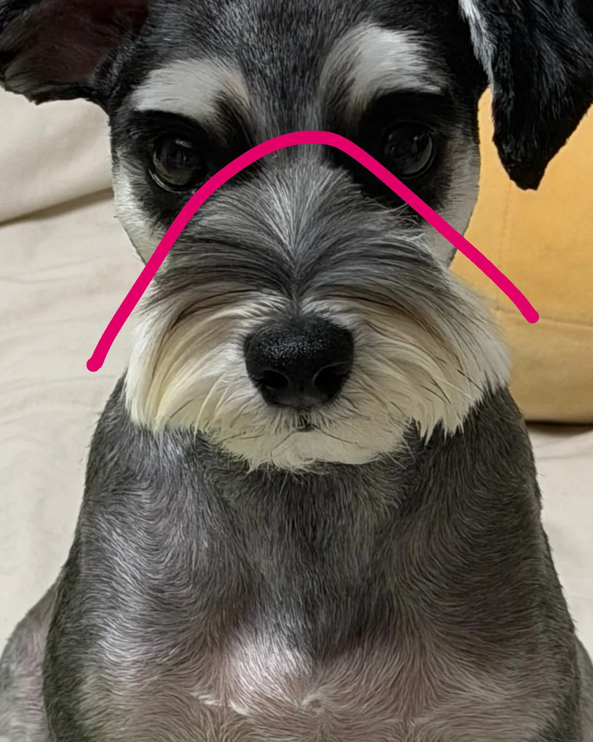 리뷰 사진 4