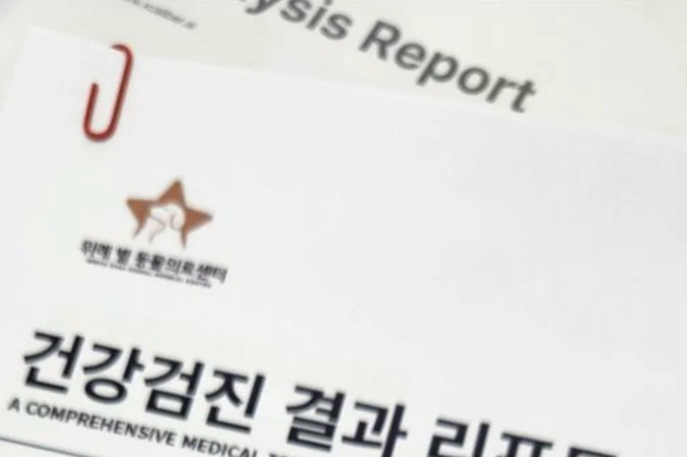 리뷰 사진 1