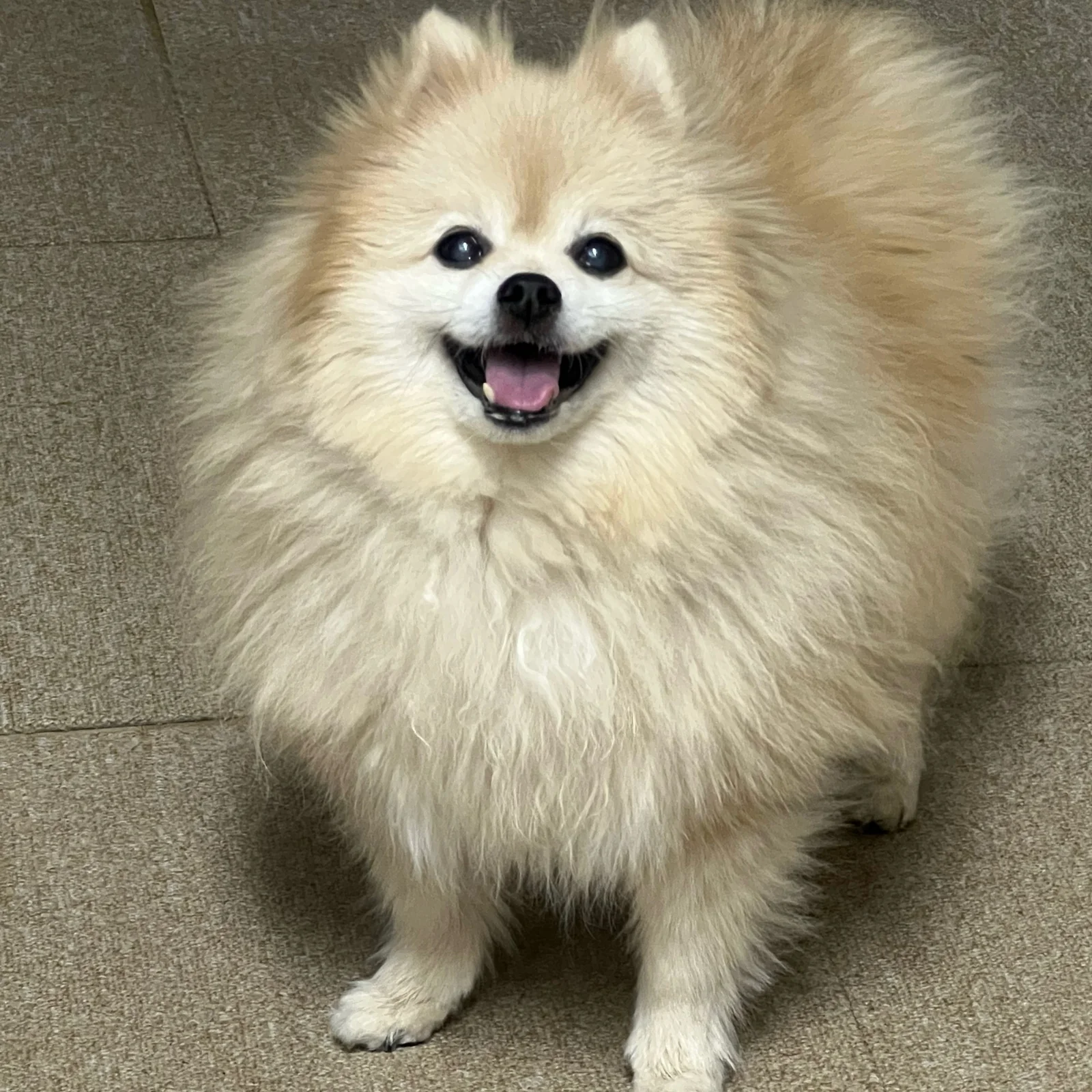 리뷰 사진 2