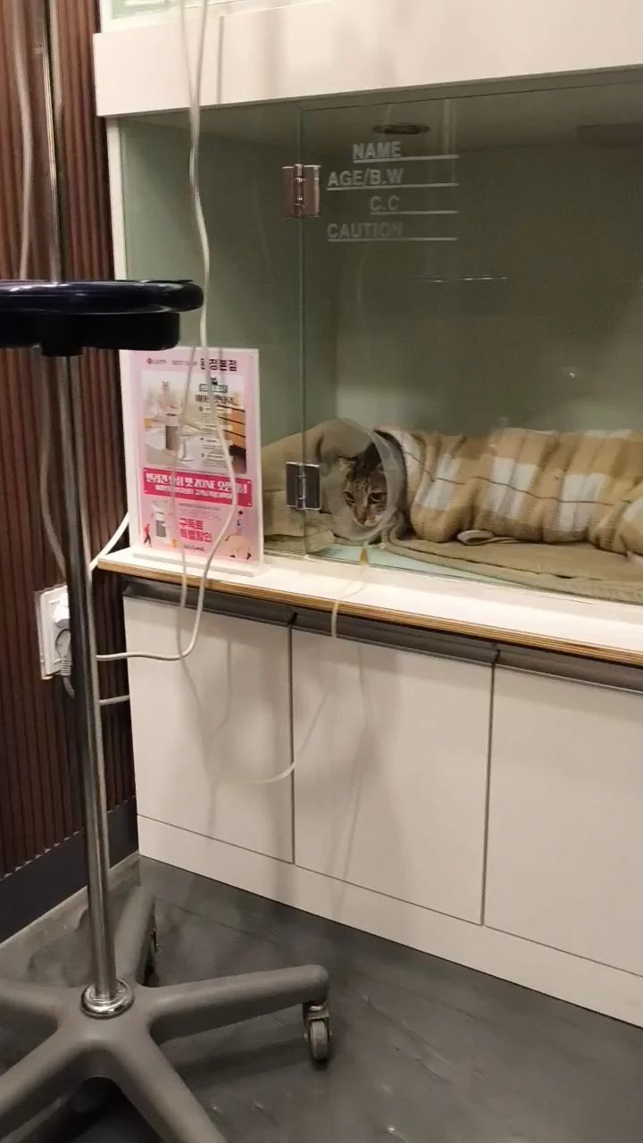 리뷰 사진 2