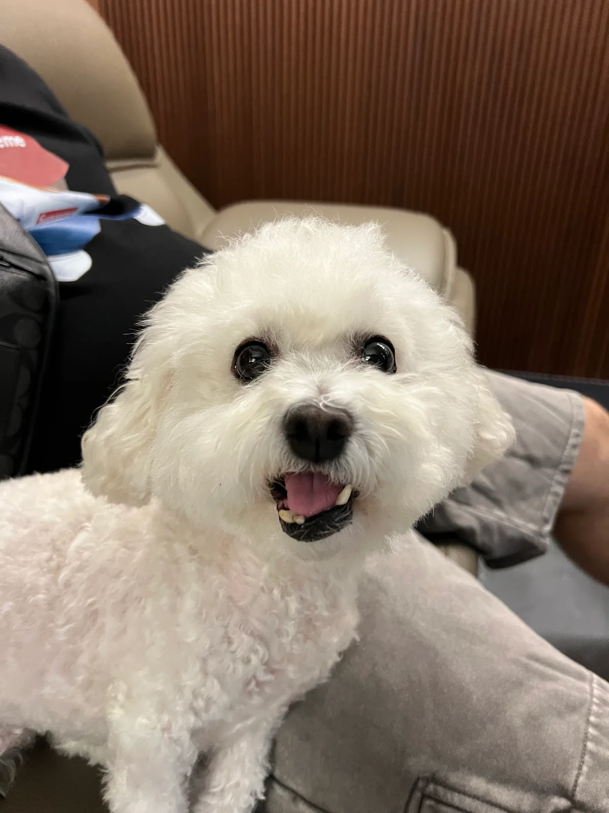 리뷰 사진 1