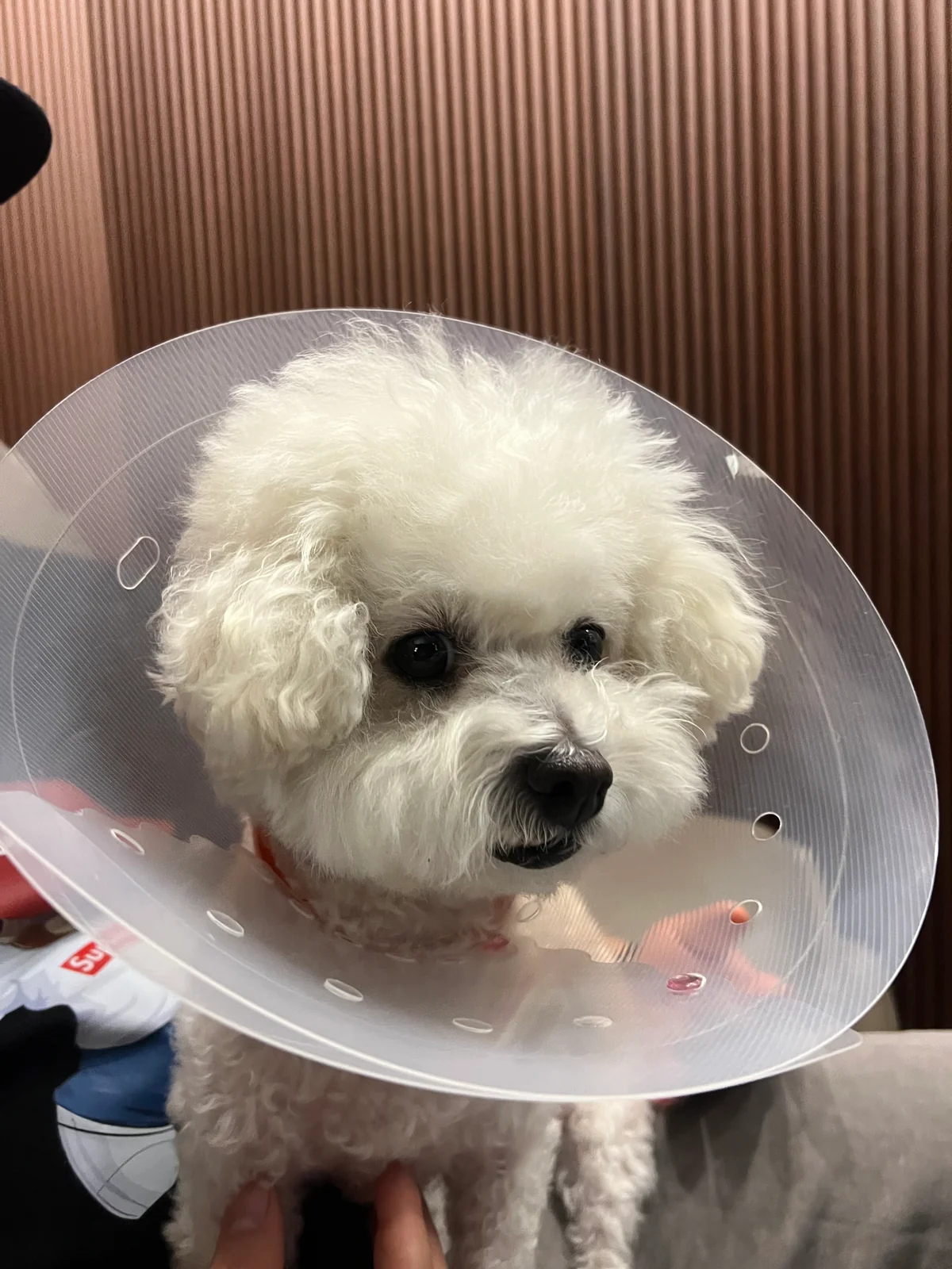 리뷰 사진 2