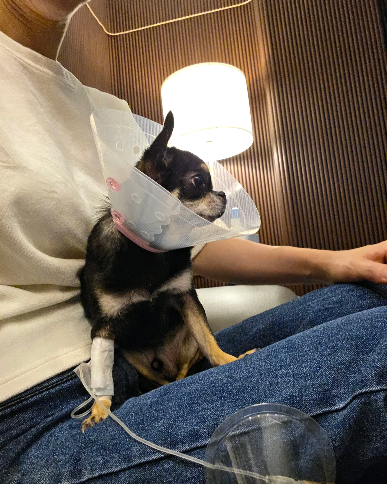 리뷰 사진 2