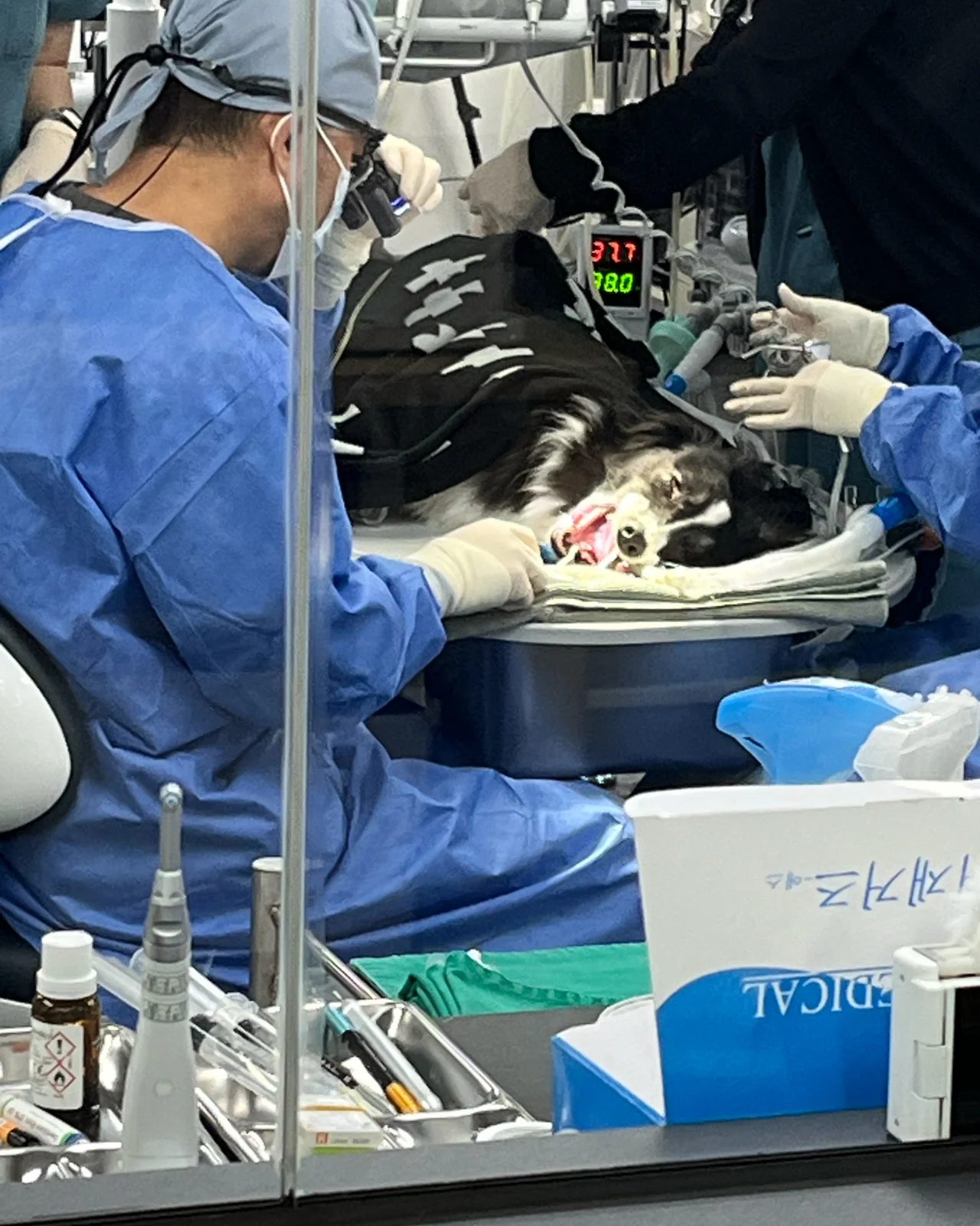 리뷰 사진 3