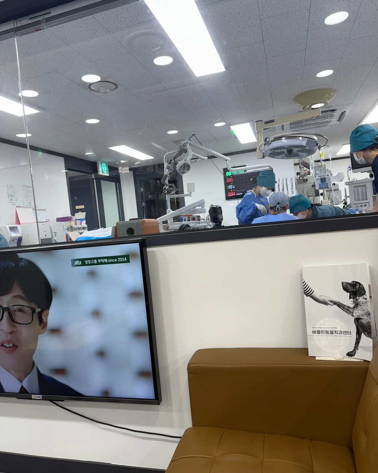 리뷰 사진 2