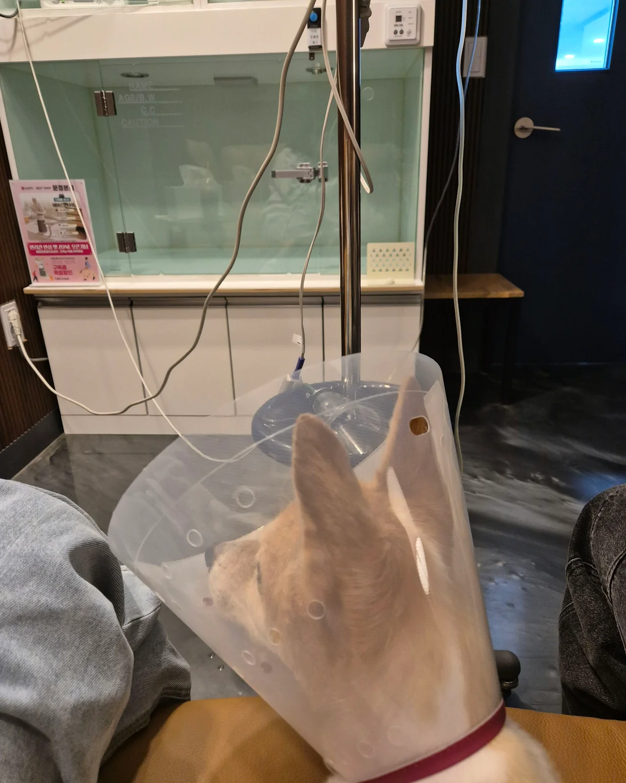 리뷰 사진 3