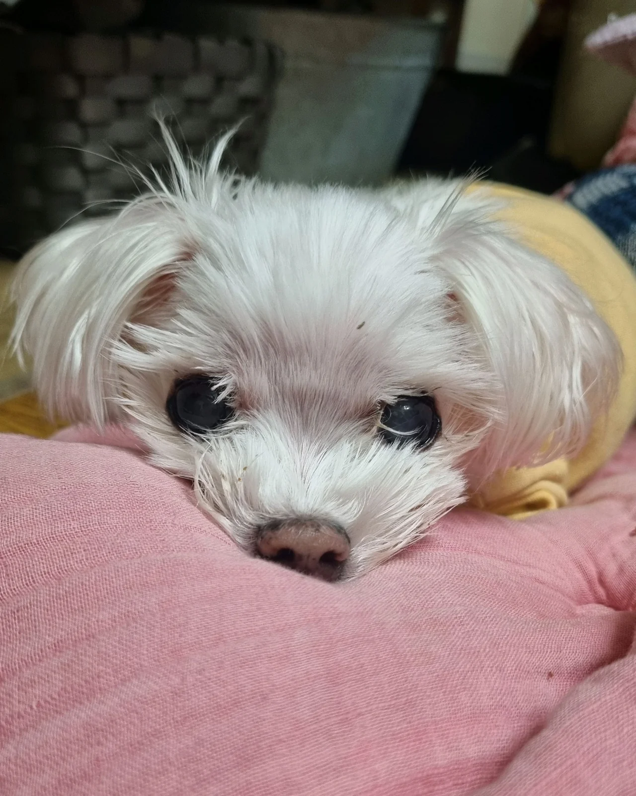 리뷰 사진 2