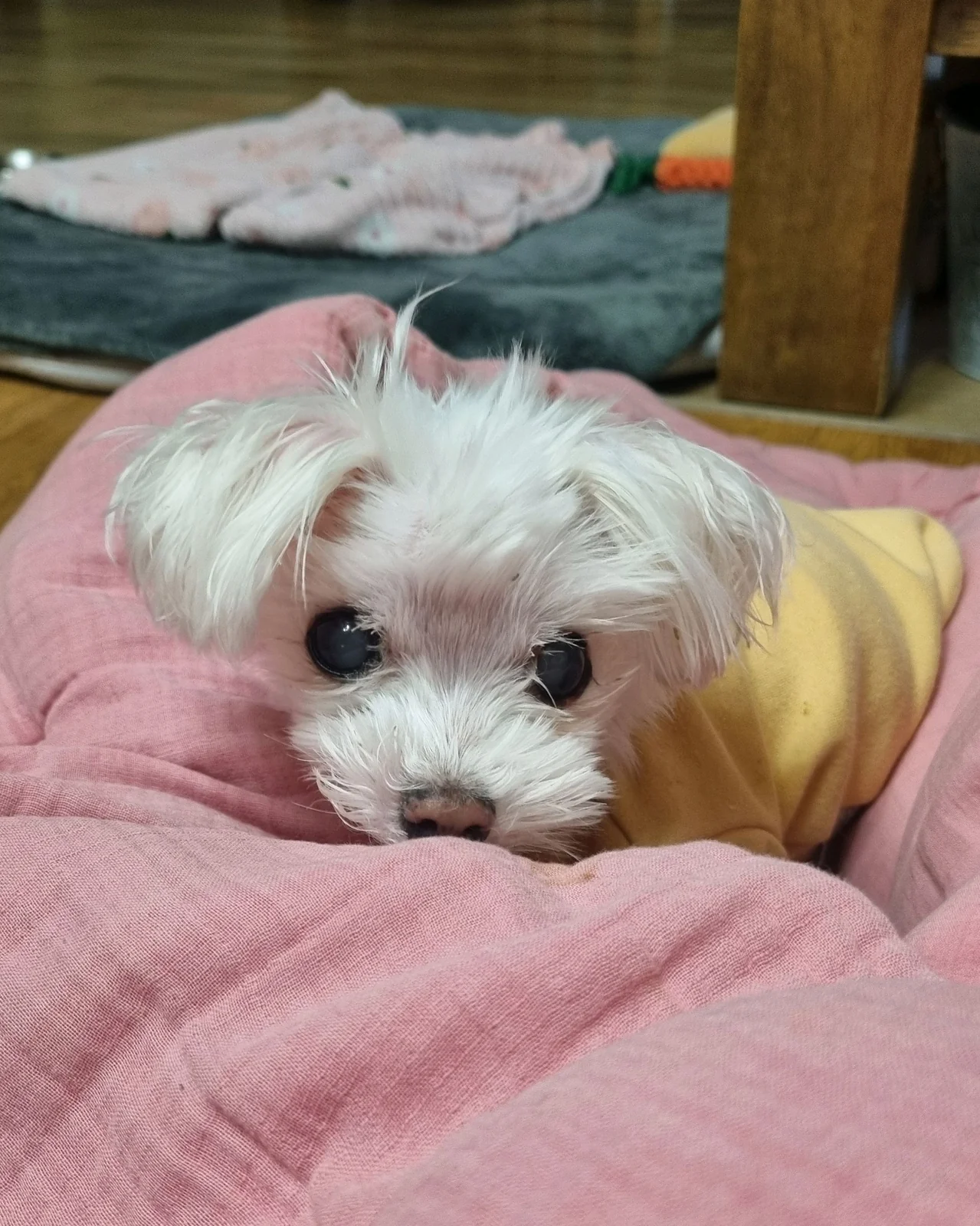 리뷰 사진 3