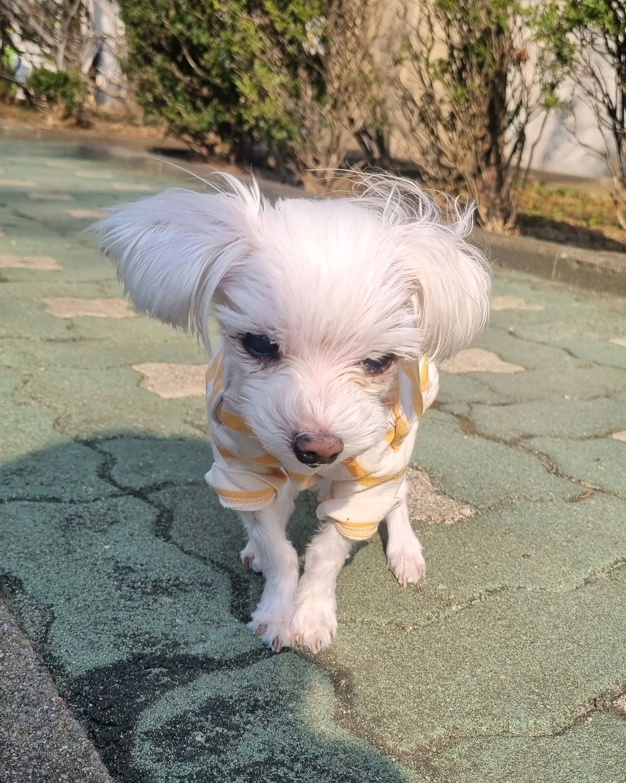리뷰 사진 4