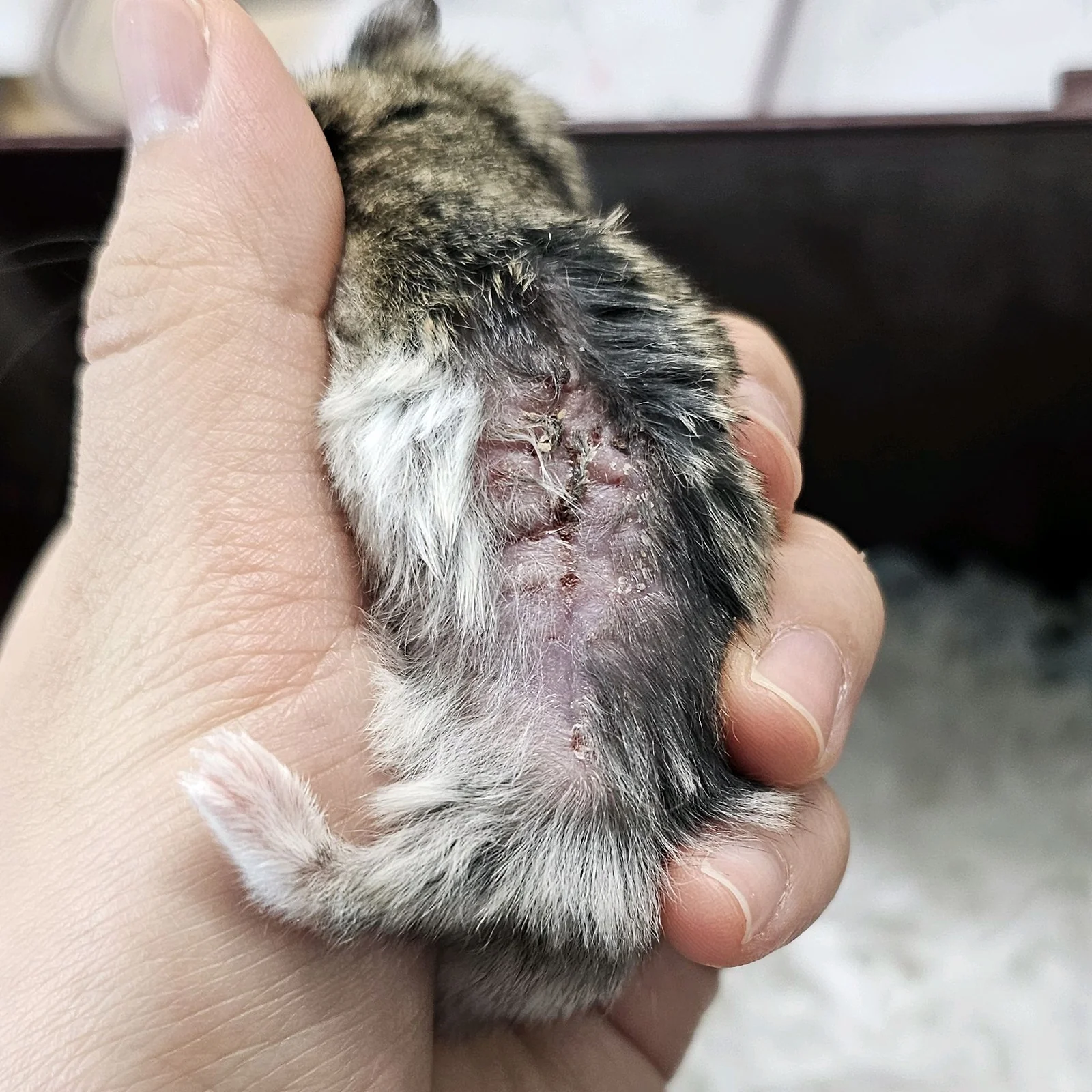 리뷰 사진 4