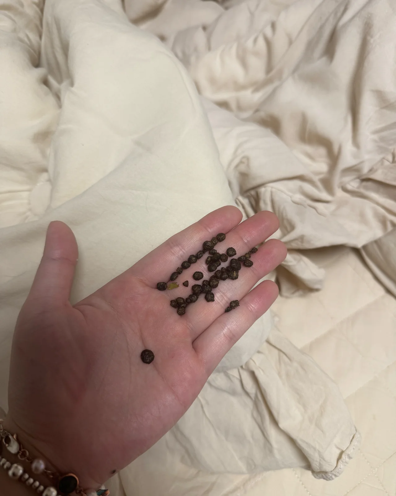 리뷰 사진 3