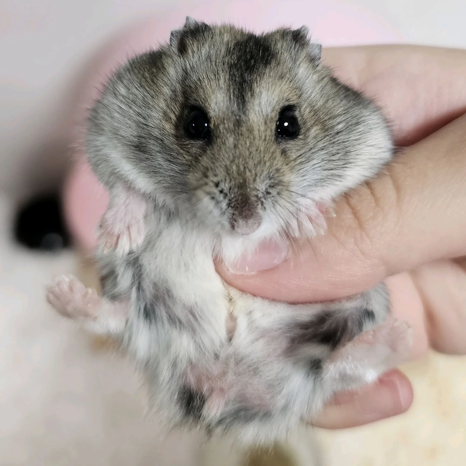 리뷰 사진 1