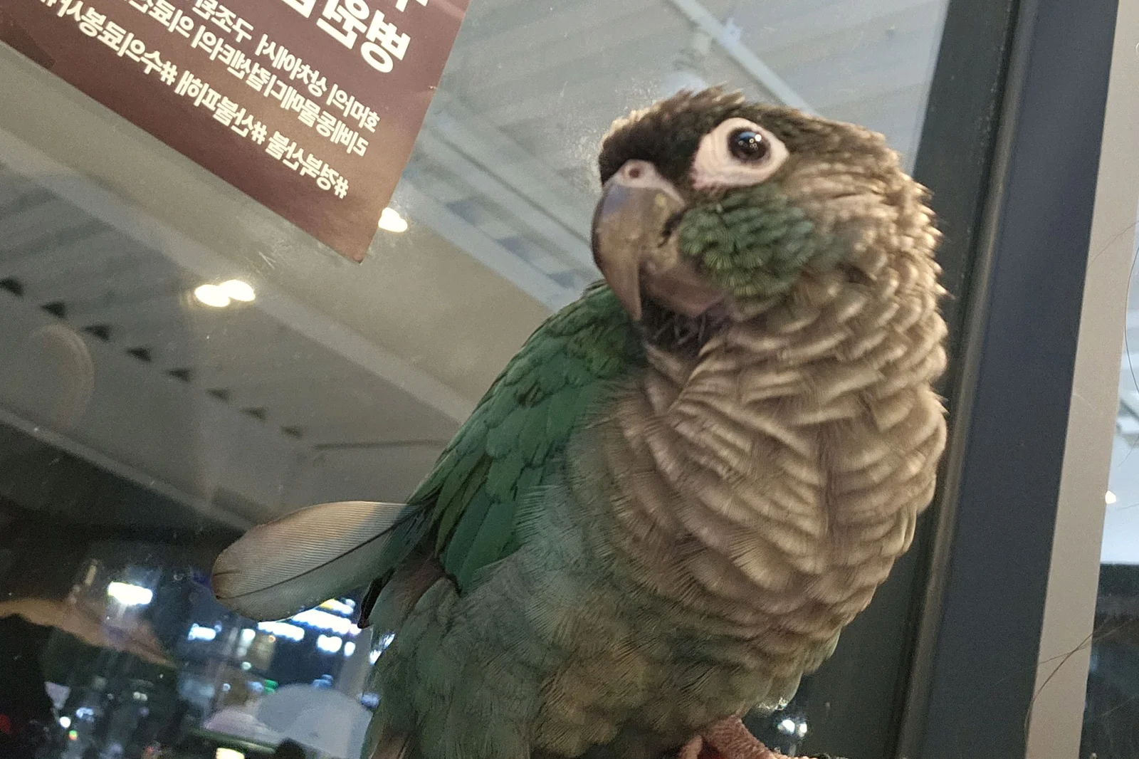 리뷰 사진 1