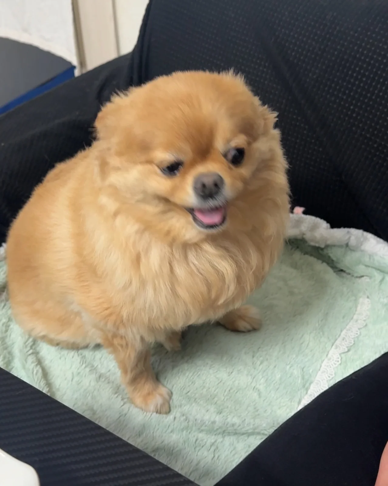 리뷰 사진 1