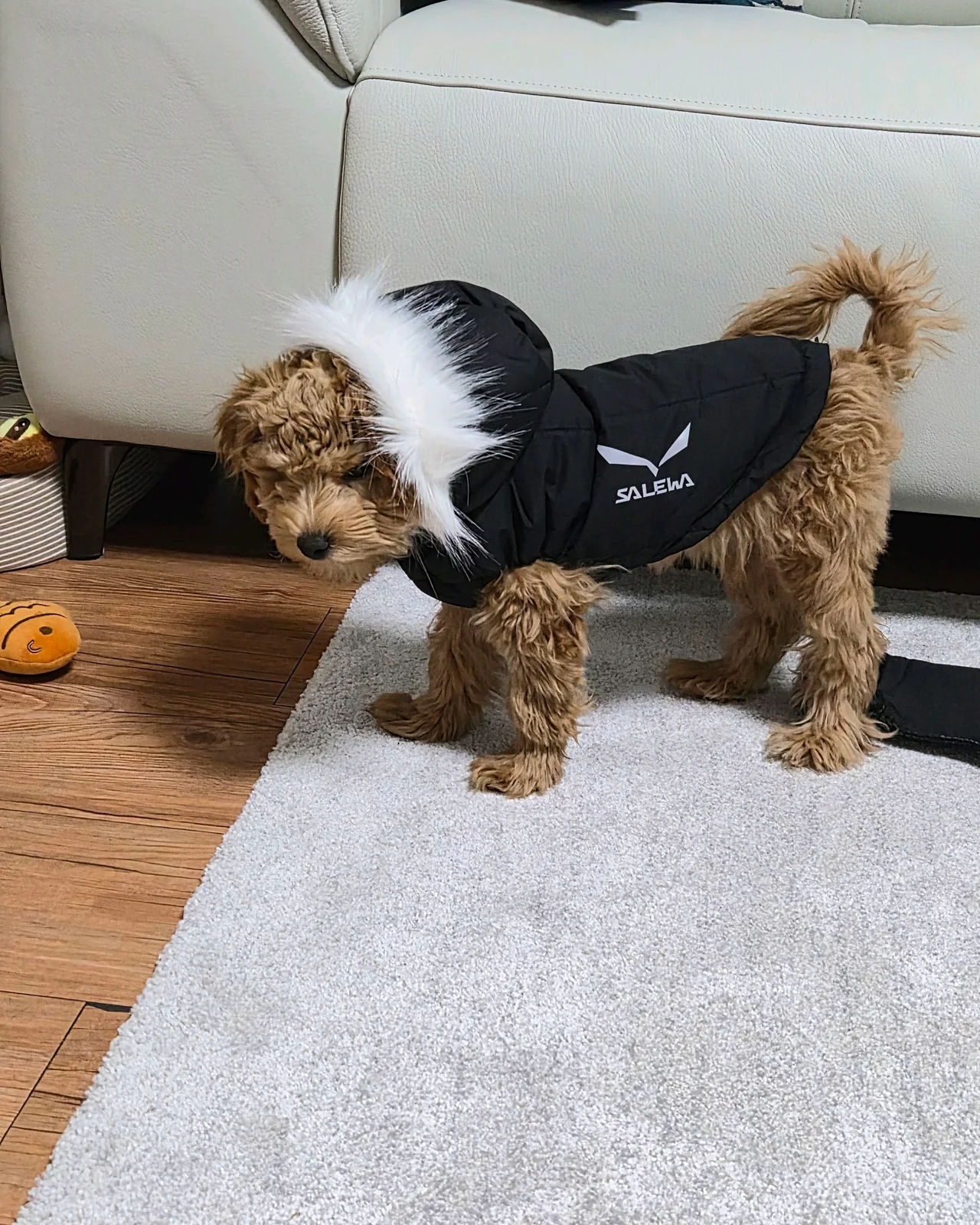 리뷰 사진 1