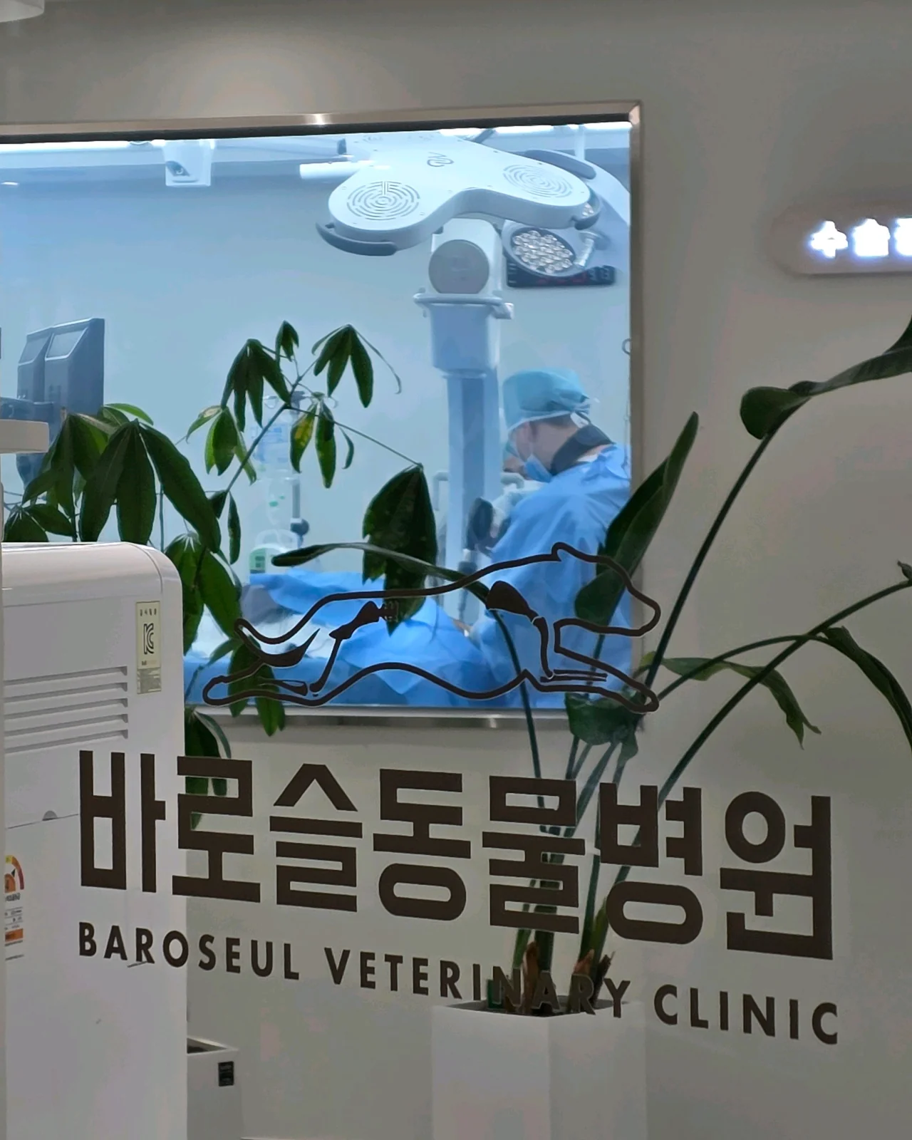 리뷰 사진 1