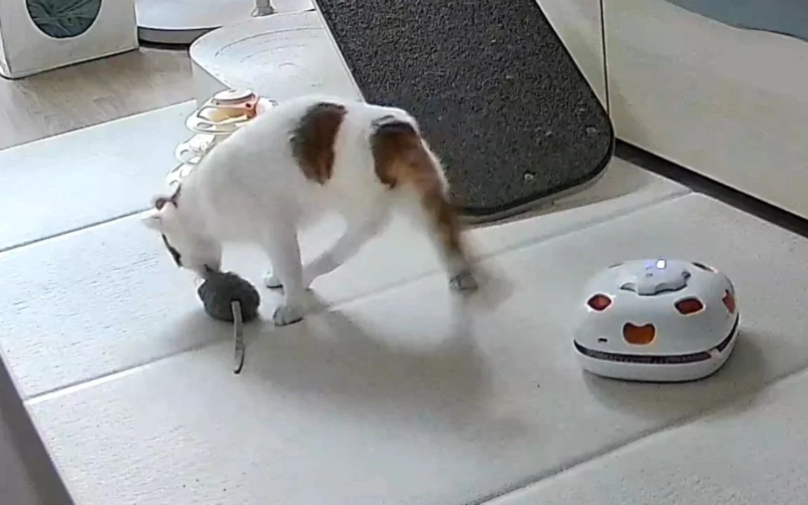 리뷰 사진 1