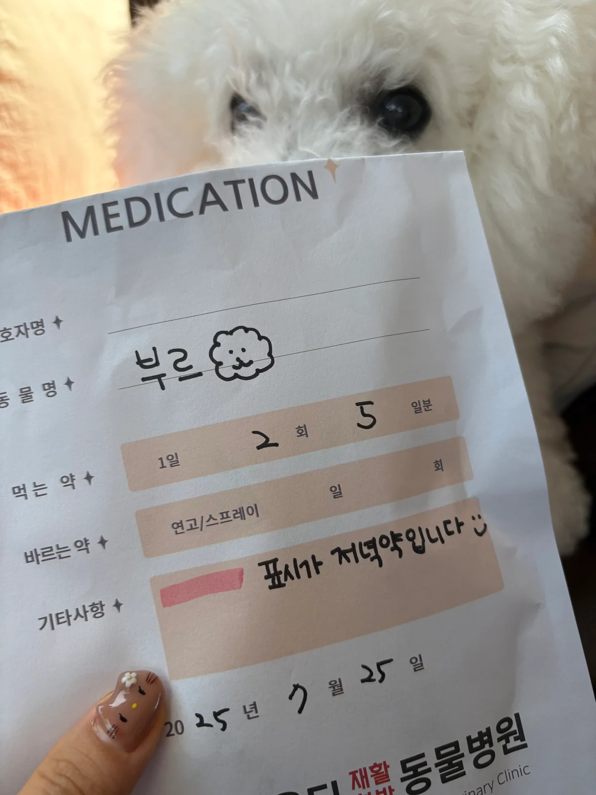 리뷰 사진 3