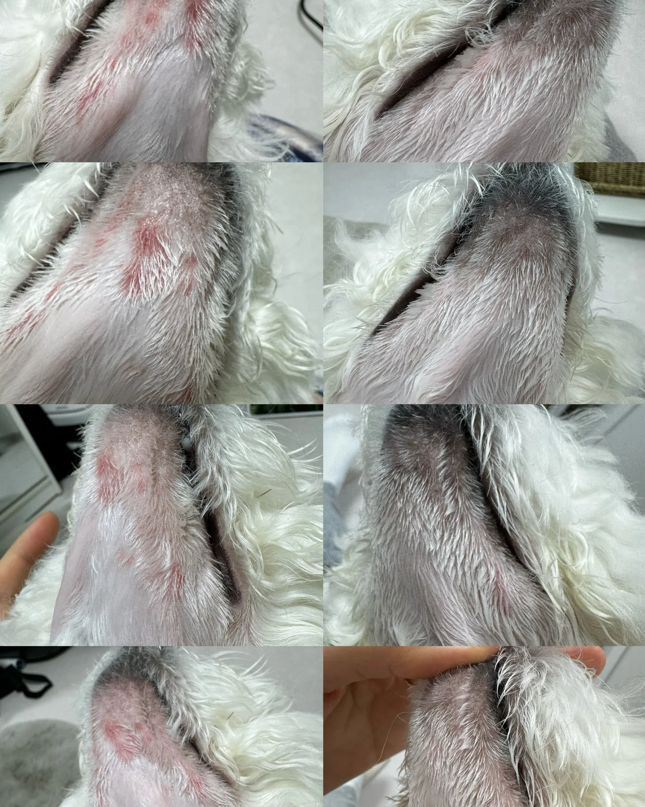 리뷰 사진 1