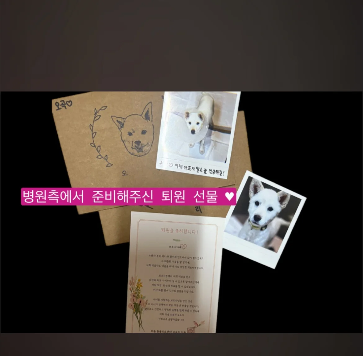 리뷰 사진 3