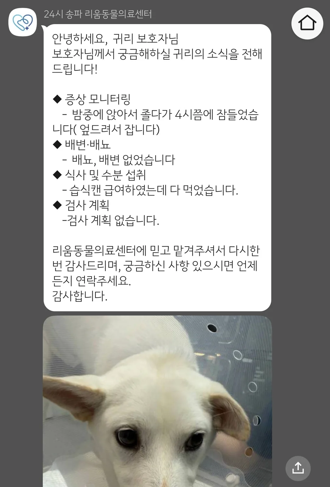 리뷰 사진 5