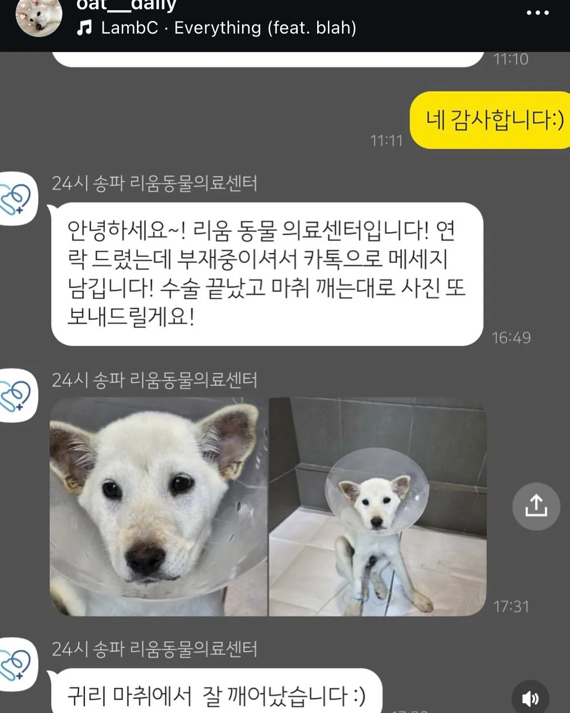 리뷰 사진 3
