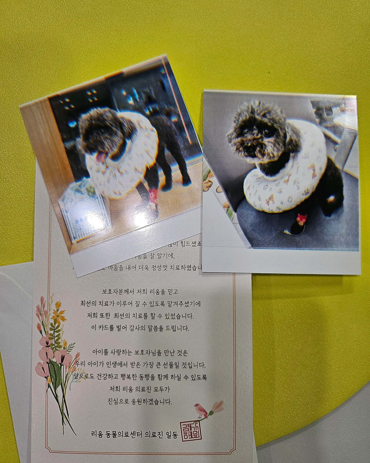 리뷰 사진 1