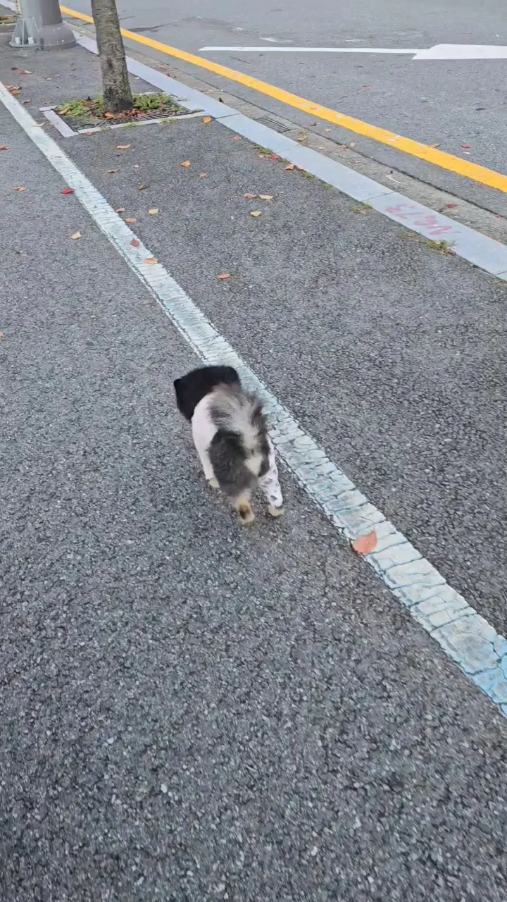 리뷰 사진 3
