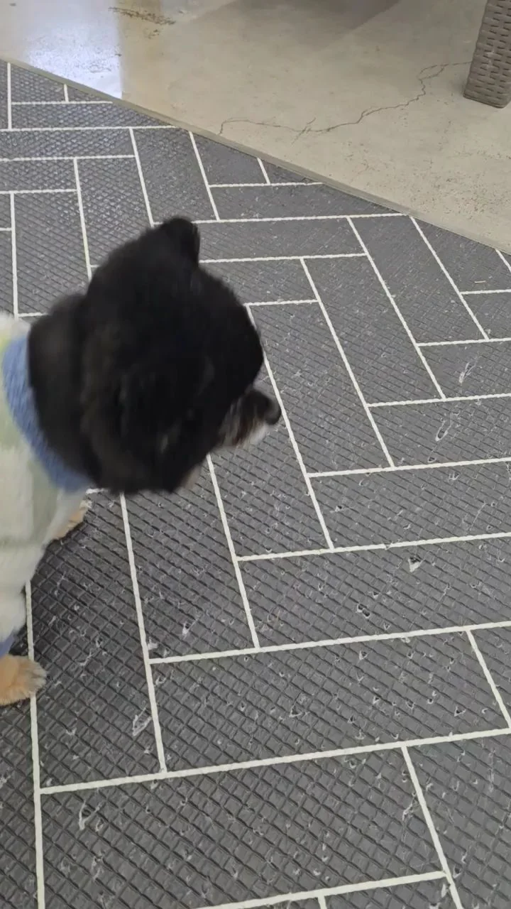 리뷰 사진 5
